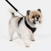 WINTERSIDE HARNESS