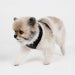 WINTERSIDE HARNESS