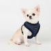 WYNTER HARNESS