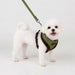 WYNTER HARNESS