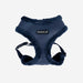 WYNTER HARNESS