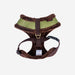 WYNTER HARNESS