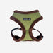 WYNTER HARNESS