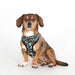PUPPIA CONNOR DOG HARNESS