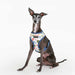 PUPPIA CONNOR DOG HARNESS