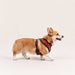 PUPPIA RHAPSODIA DOG HARNESS A