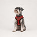 PUPPIA RHAPSODIA DOG HARNESS A
