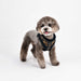 PUPPIA ADONISSA DOG HARNESS A