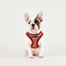 PUPPIA ADONISSA DOG HARNESS A