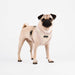 PUPPIA STELLAR DOG HARNESS A