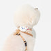 PINKAHOLIC TAILSY DOG HARNESS