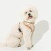 PINKAHOLIC TAILSY DOG HARNESS