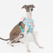 PINKAHOLIC ANNIKA DOG HARNESS