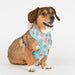 PINKAHOLIC ANNIKA DOG HARNESS
