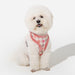 PINKAHOLIC ANNIKA DOG HARNESS