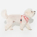 PINKAHOLIC ANNIKA DOG HARNESS