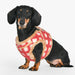 PUPPIA STEFAN DOG HARNESS B