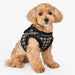 PUPPIA JACE DOG HARNESS B