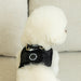 PUPPIA DOUGLAS DOG HARNESS B