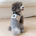 PUPPIA IRVIN DOG HARNESS B