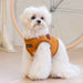 PUPPIA IRVIN DOG HARNESS B