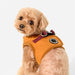 PUPPIA IRVIN DOG HARNESS B