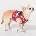 PUPPIA FESTIVE DOG HARNESS B