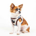MAX VEST HARNESS