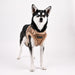 WINTERSIDE VEST HARNESS B