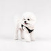 WINTERSIDE VEST HARNESS B
