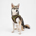 WYNTER VEST HARNESS