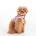 PUPPIA WESTLY VEST DOG HARNESS