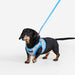 PUPPIA WESTLY VEST DOG HARNESS