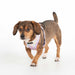 PUPPIA NOLA DOG HARNESS