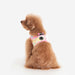 PUPPIA NOLA VEST DOG HARNESS