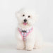 PUPPIA WINDSOR DOG HARNESS