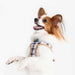 PUPPIA WINDSOR DOG HARNESS