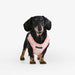 PUPPIA PAWPRINT VEST DOG HARNESS