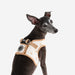 PUPPIA PAWPRINT VEST DOG HARNESS