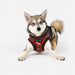 PUPPIA RHAPSODIA DOG HARNESS B