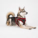 PUPPIA RHAPSODIA DOG HARNESS B