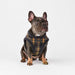 PUPPIA ADONISSA DOG HARNESS B