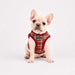 PUPPIA ADONISSA DOG HARNESS B