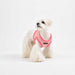 PUPPIA STELLAR DOG HARNESS B