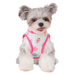 Pinkaholic Annabelle Vest Harness B