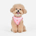 PINKAHOLIC PRIYA VEST HARNESS
