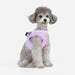 PINKAHOLIC PRIYA VEST HARNESS