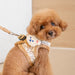 PINKAHOLIC TAILSY VEST DOG HARNESS