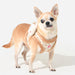 PINKAHOLIC TAILSY VEST DOG HARNESS