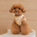 PINKAHOLIC TAILSY VEST DOG HARNESS